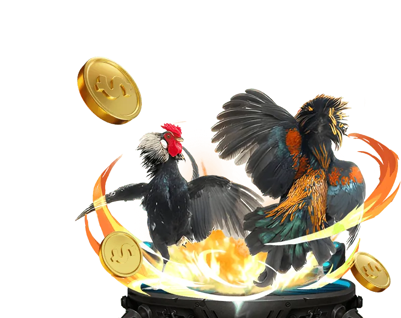 Đá gà trực tiếp